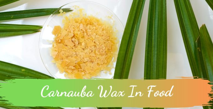 Carnauba Wax In Food