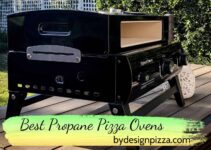 8 Best Propane Pizza Ovens | Perfect for Home and Professional Use