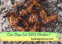 Can Dogs Eat BBQ Chicken? 