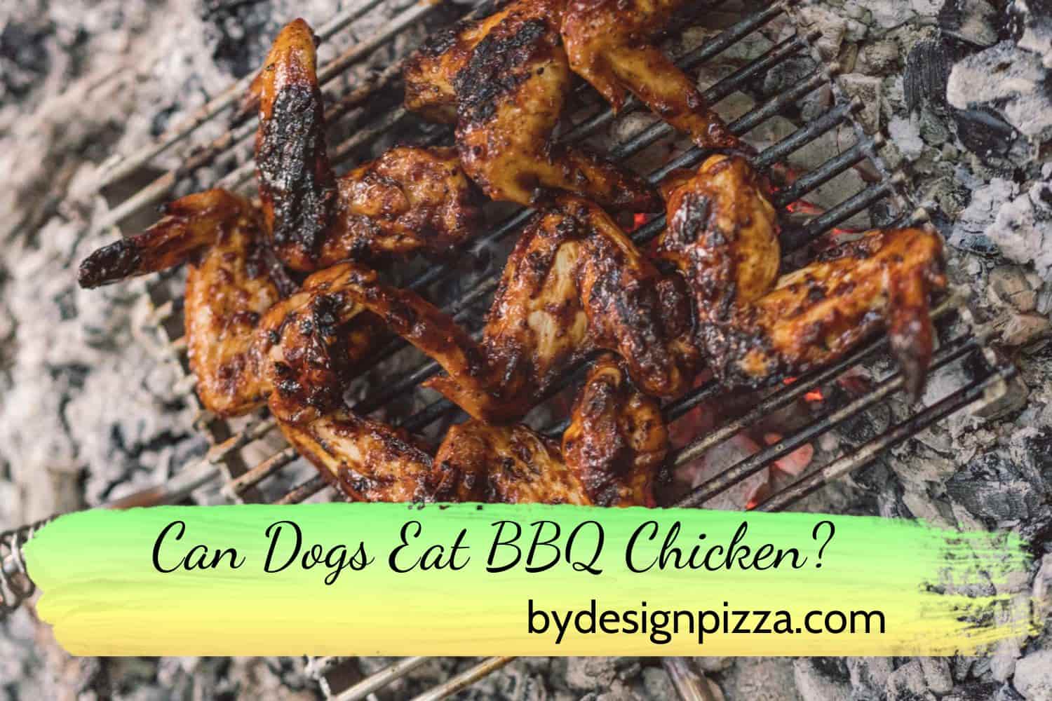 Can Dogs Eat BBQ Chicken